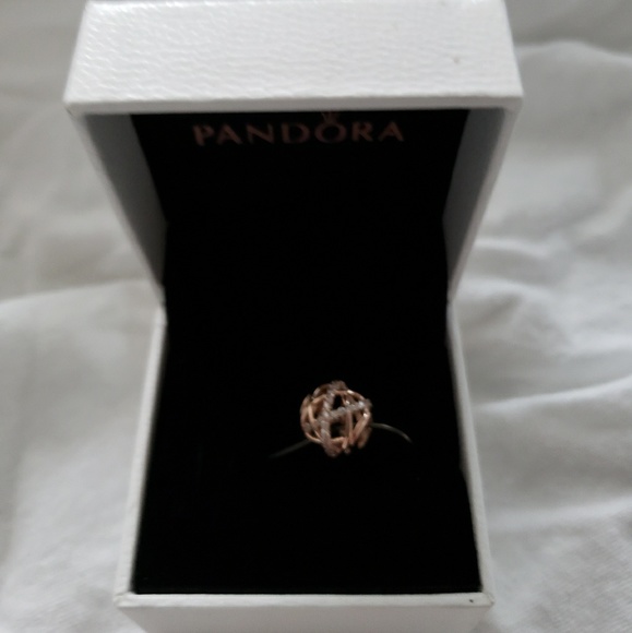 Brand New Rose Gold Pandora Charm - Picture 4 of 5